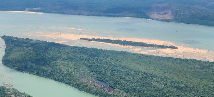 Ibama atua em força-tarefa multiagências para desintrusão da Terra Indígena Munduruku (PA) — Ibama