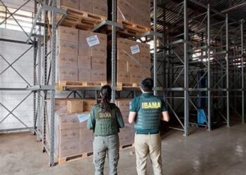 Ibama fiscaliza fabricantes de agrotóxicos em São Paulo e no Paraná — Ibama