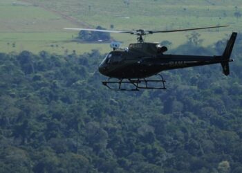 Desmatamento na Amazônia e Cerrado apresenta queda significativa, destaca governo federal — Ibama