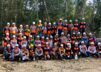 Série de cursos sobre manejo florestal coordenados pelo Ibama é concluída em outubro — Ibama