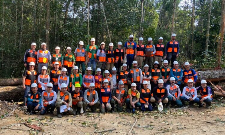 Série de cursos sobre manejo florestal coordenados pelo Ibama é concluída em outubro — Ibama