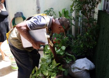 Dia D combate focos de mosquito da dengue em todo o país