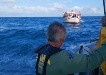 Quase 17 mil quilos de pescado irregular são apreendidos pelo Ibama — Ibama