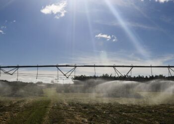 Entenda como ficam exportações agrícolas após acordo Mercosul-UE