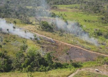 Instituto Chico Mendes e Ibama iniciam prevenção de incêndios em Roraima — Ibama