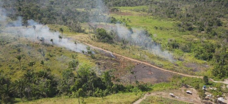 Instituto Chico Mendes e Ibama iniciam prevenção de incêndios em Roraima — Ibama