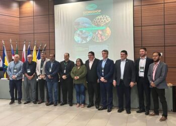 Suframa participa de Workshop sobre Arranjos Produtivos Locais na Amazônia Legal — Suframa