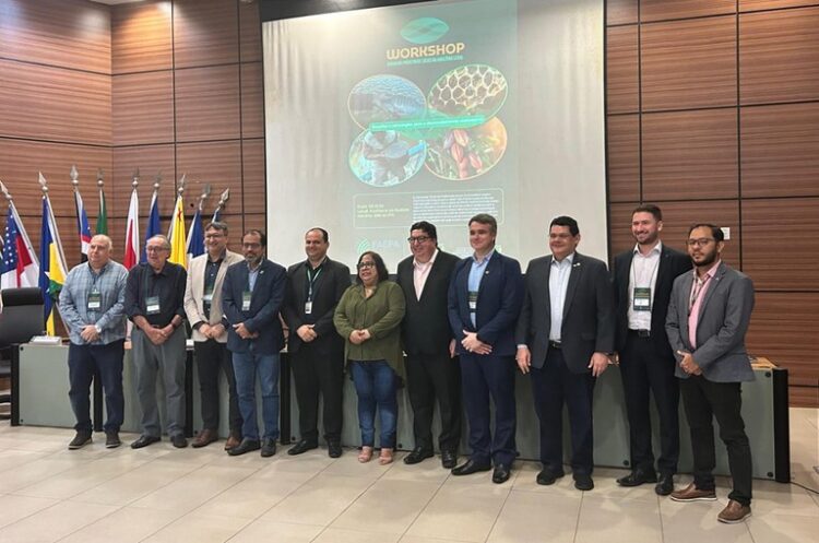 Suframa participa de Workshop sobre Arranjos Produtivos Locais na Amazônia Legal — Suframa