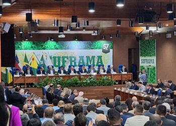 CAS 317 prevê R$ 400 milhões em investimentos e criação de 514 empregos — Suframa