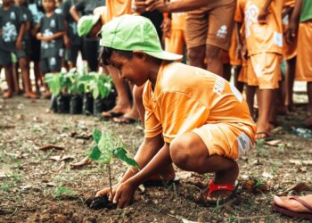 FAS completa 17 anos de compromisso com a sustentabilidade da Amazônia - FAS