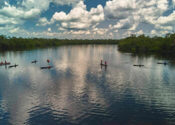 Turismo sustentável e pesca esportiva geram faturamento de R$ 6,3 milhões no Amazonas - FAS