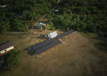 COP 30: soluções sustentáveis devem liderar agenda climática, dizem especialistas - FAS