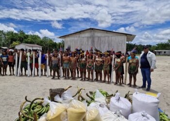 Japurá e Manaquiri: Agricultores indígenas assistidos pelo Idam vendem 5 toneladas de alimentos via PAA Indígena