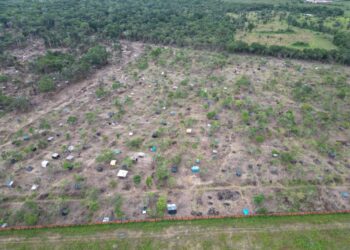Audiência pública vai discutir ocupações irregulares e danos ambientais em Parintins