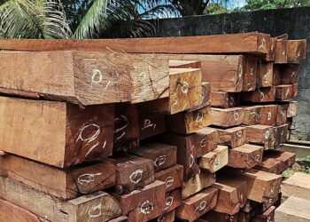Ipaam e BPAmb fazem nova fiscalização no Ramal Santo Antônio, apreendem madeira ilegal e doam material