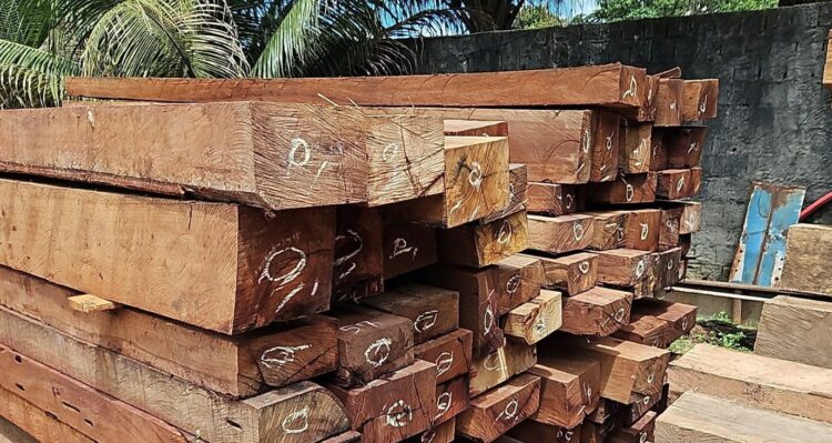 Ipaam e BPAmb fazem nova fiscalização no Ramal Santo Antônio, apreendem madeira ilegal e doam material