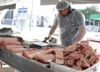 Feirão do Pescado da ADS: Preço e qualidade atraem consumidores no primeiro dia de vendas