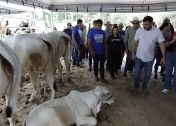Governador Wilson Lima apresenta comitiva que representará o Amazonas em evento que oficializa estado livre da febre aftosa sem vacinação