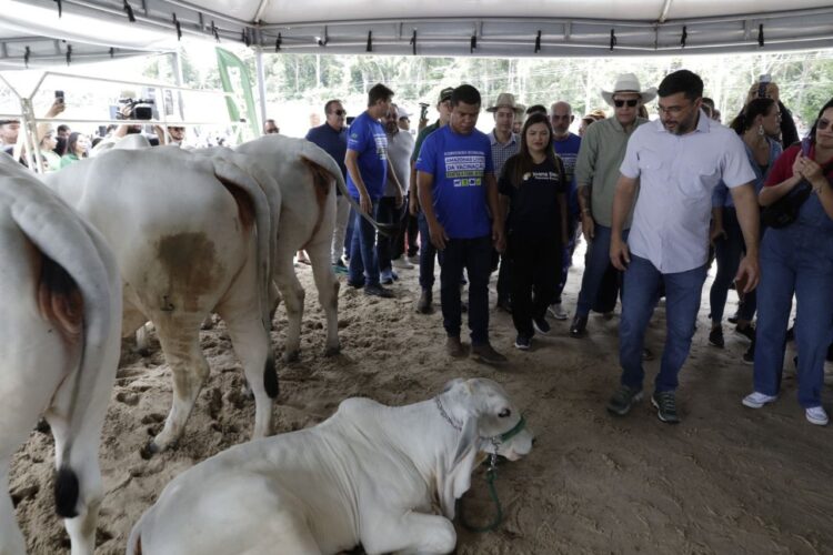 Governador Wilson Lima apresenta comitiva que representará o Amazonas em evento que oficializa estado livre da febre aftosa sem vacinação