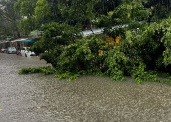 Defesa Civil Alerta é lançado no Nordeste para notificar riscos