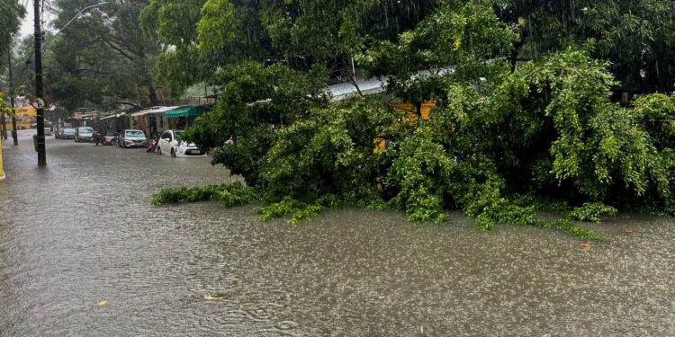 Defesa Civil Alerta é lançado no Nordeste para notificar riscos