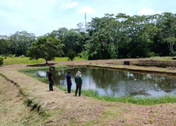 Municípios do Alto Solimões recebem ações ambientais do Ipaam a partir de quinta-feira