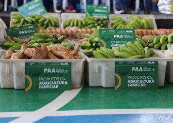 Governo do Amazonas potencializa setor primário no município de Tapauá