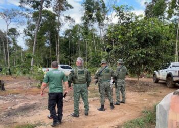 Ipaam aplica mais de R$ 100 mil em multas durante a 7ª fase da Operação Região Metropolitana