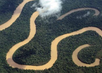Amazonas tem queda de 93,4% nos registros de focos de calor em julho de 2025