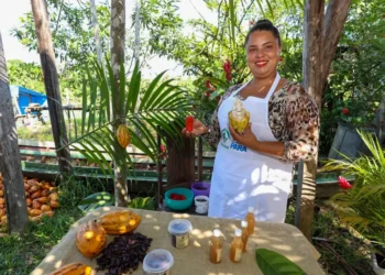 Inova Sociobio segue com inscrições abertas para fortalecer iniciativas sustentáveis de sociobiodiversidade - FAS