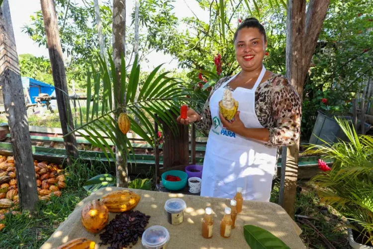 Inova Sociobio segue com inscrições abertas para fortalecer iniciativas sustentáveis de sociobiodiversidade - FAS