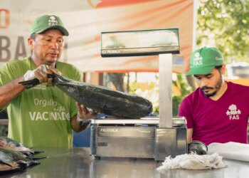 Feira do Tambaqui oferta 9 toneladas de pescado em Manaus neste sábado e domingo - FAS