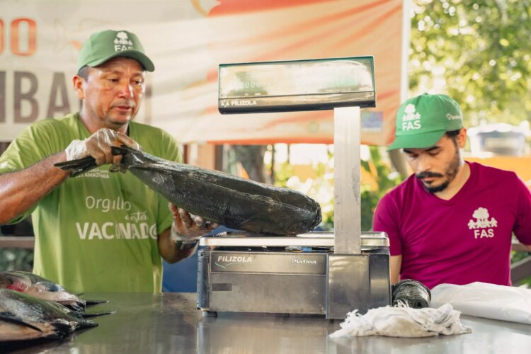 Feira do Tambaqui oferta 9 toneladas de pescado em Manaus neste sábado e domingo - FAS