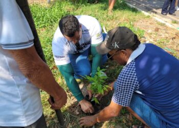 Equipe do Prosai participa de ação socioambiental no Reduto da Francesa no Dia da Árvore