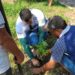 Equipe do Prosai participa de ação socioambiental no Reduto da Francesa no Dia da Árvore