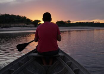 FAS e Rede Cenarium lançam guia Caminhos da Amazônia para a COP30, que explica a conferência do clima a partir do olhar amazônico - FAS
