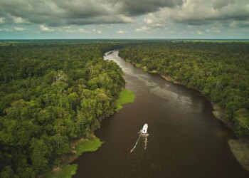 Virada Sustentável e FAS abrem chamada para atividades no Barco Cultural Banzeiro da Esperança durante a COP30 em Belém - FAS