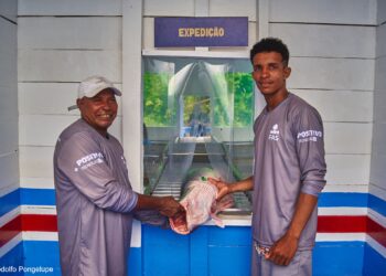 Projeto fortalece cadeia do pirarucu e amplia alternativas de renda na Amazônia - FAS