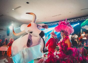 Banzeiro da Esperança chega a Parintins e interage com a cultura dos Bois Caprichoso e Garantido - FAS