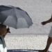 Com 40°C, Rio tem 450 atendimentos de saúde por dia por causa do calor
