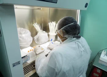 Esporotricose: Amazonas atualiza boletim epidemiológico nesta terça-feira