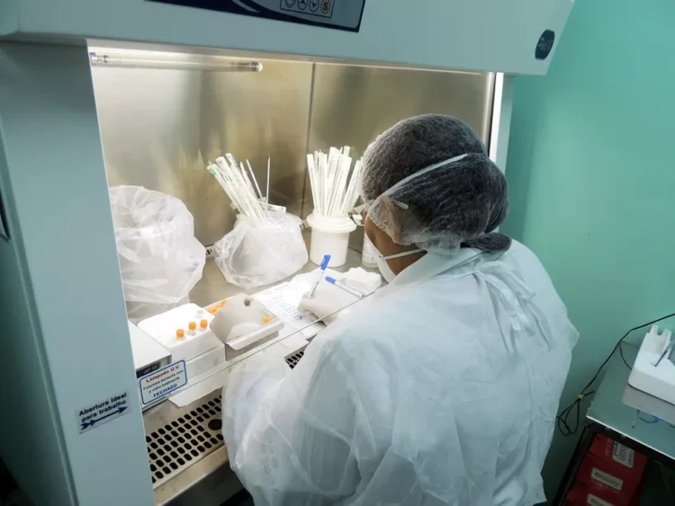 Esporotricose: Amazonas atualiza boletim epidemiológico nesta terça-feira