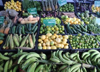 Sepror investe R$ 5 milhões na compra de alimentos em 2025 por meio do Programa de Aquisição de Alimentos