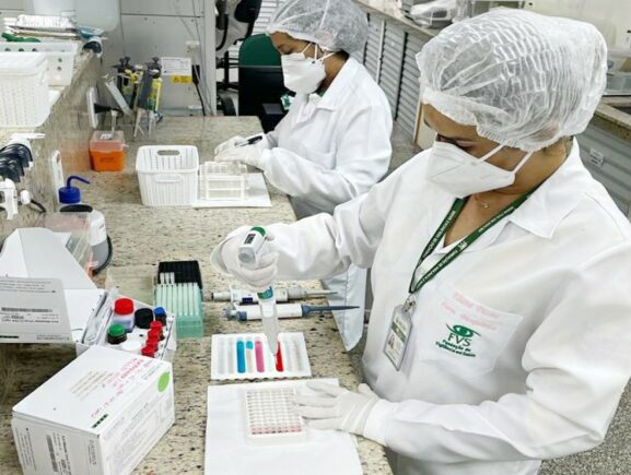 Esporotricose 2025: Amazonas atualiza boletim epidemiológico e reforça protocolo de notificação