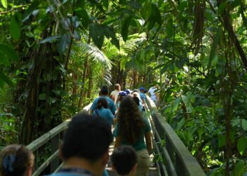 Balanço 2025: Ipaam registra crescimento de 156% nas ações de educação ambiental