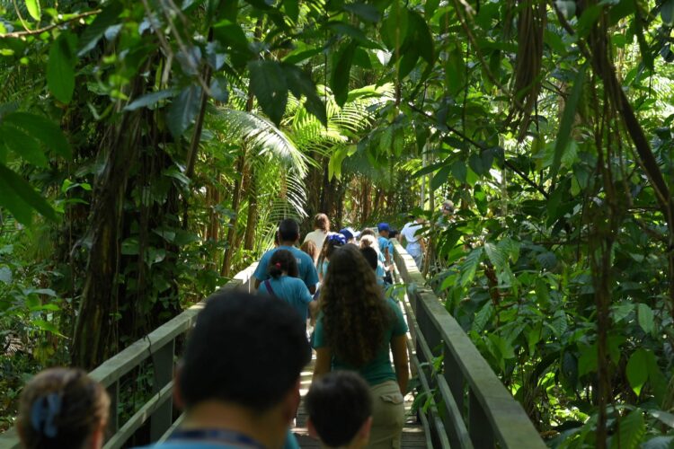 Balanço 2025: Ipaam registra crescimento de 156% nas ações de educação ambiental