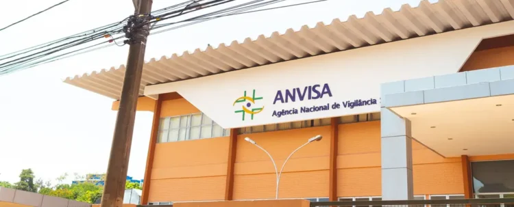 Anvisa decreta recolhimento de panetones contaminados com fungos