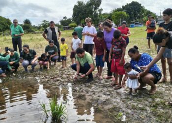 Soltura de quelônios mobiliza comunidades e fortalece conservação na RDS Puranga Conquista