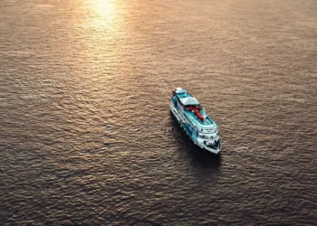 Prospera na Floresta 2