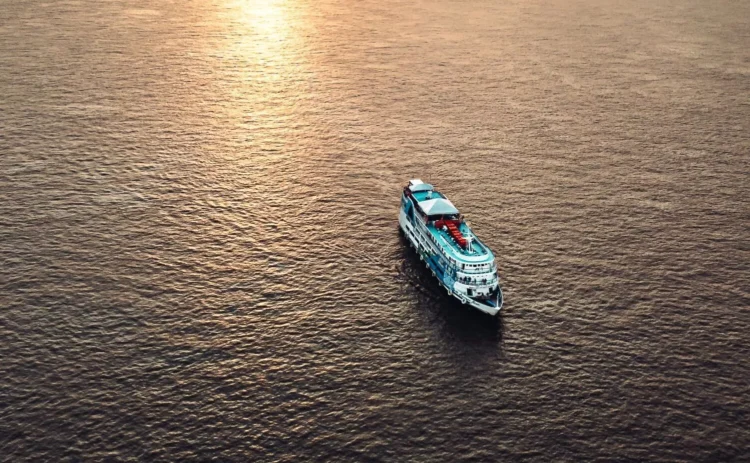 Prospera na Floresta 2